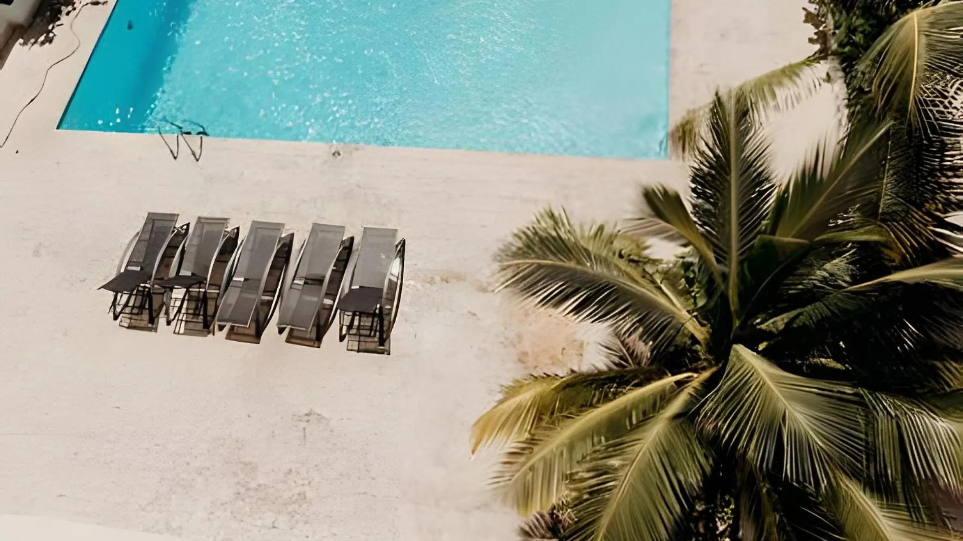 Apartamento Oceanfront 2 Bedroom With Pool Santo Domingo